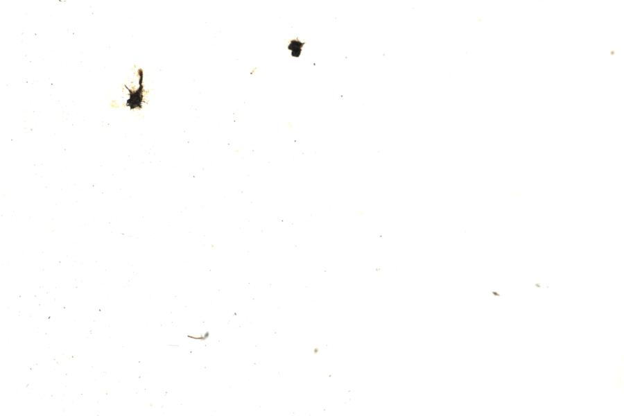 Image 116